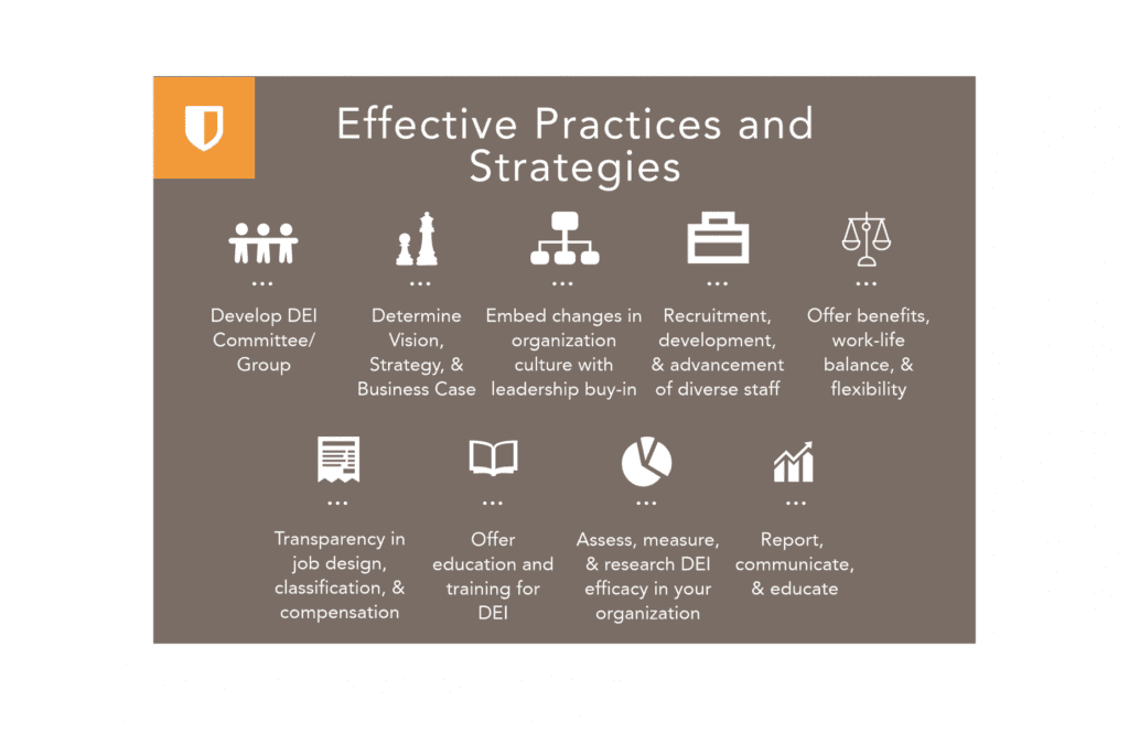 Beyond Policies A Guide to DEI Diversity Training in the Workplace tl;dv